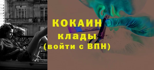 шишки Медногорск