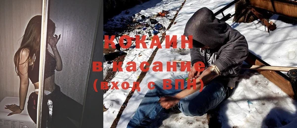 шишки Медногорск
