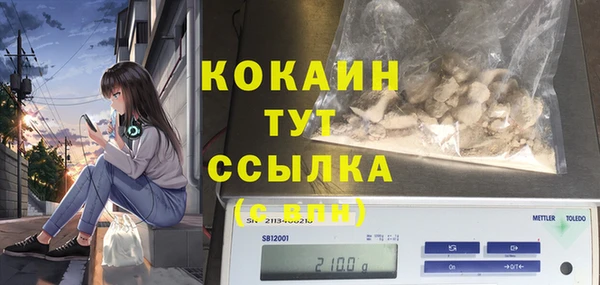 шишки Медногорск