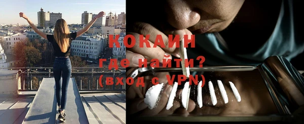 шишки Медногорск