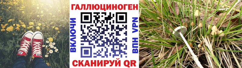 Галлюциногенные грибы прущие грибы  сайты даркнета наркотические препараты  Новый Оскол 
